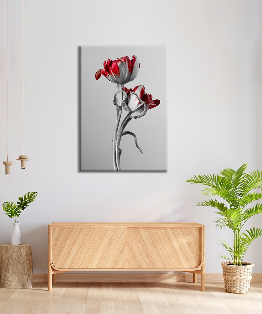 Zamansız Tutku – Kırmızı Gül Akrilik Cam Tablo