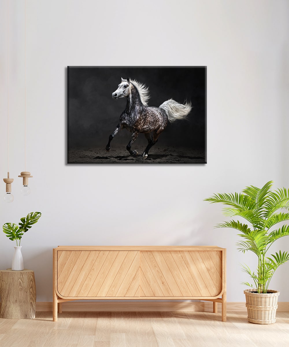 Özgürlüğün Karanlığı – Modern Akrilik Cam Tablo