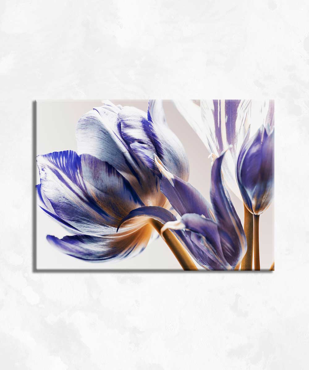 Violet Grace - Çerçevesiz Cam Tablo