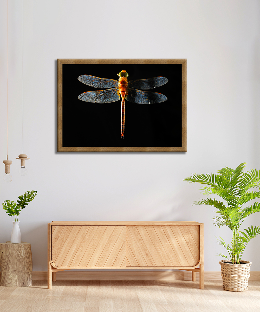 Altın Yusufçuk – Çerçeveli Kanvas Tablo