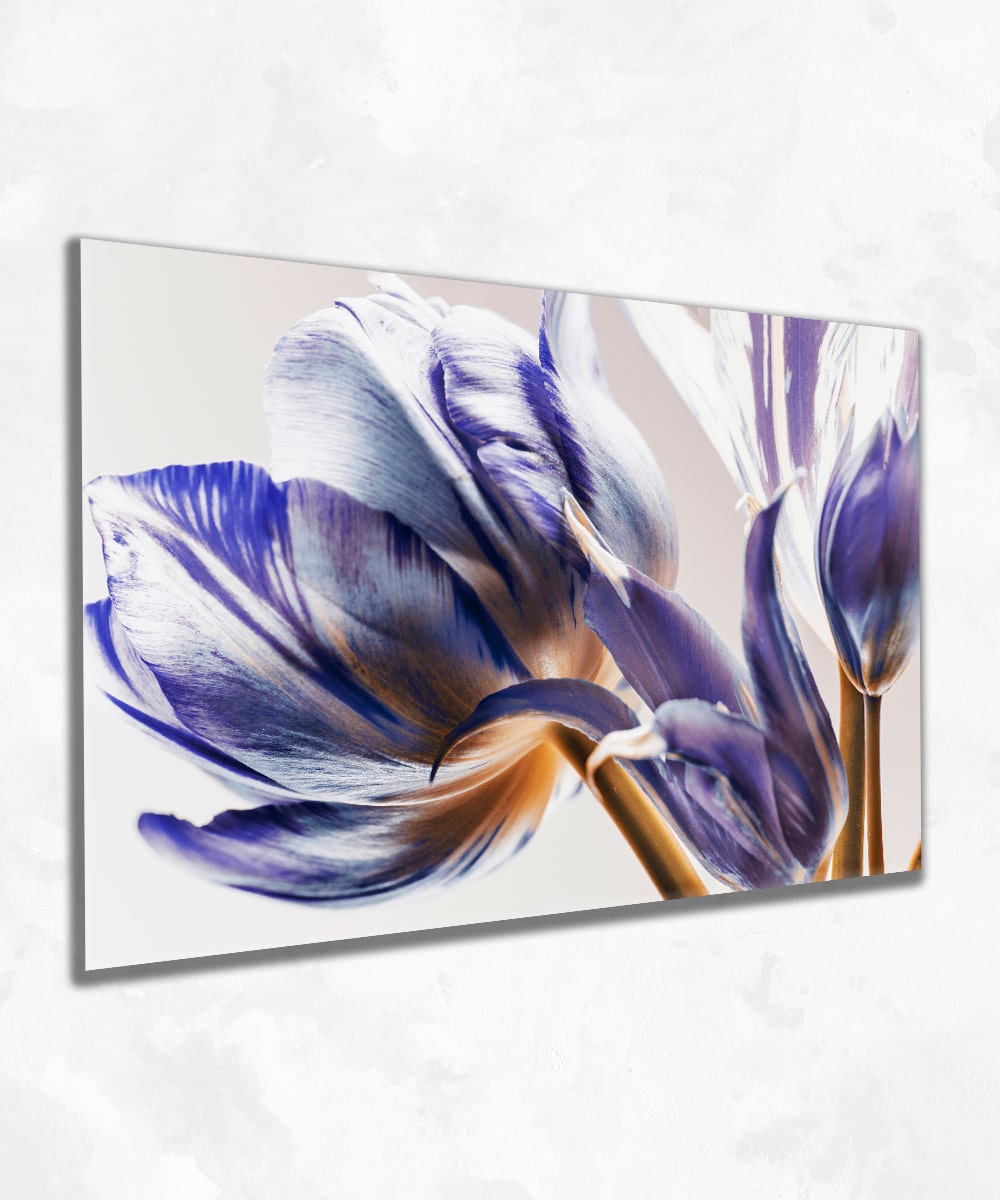 Violet Grace - Çerçevesiz Cam Tablo