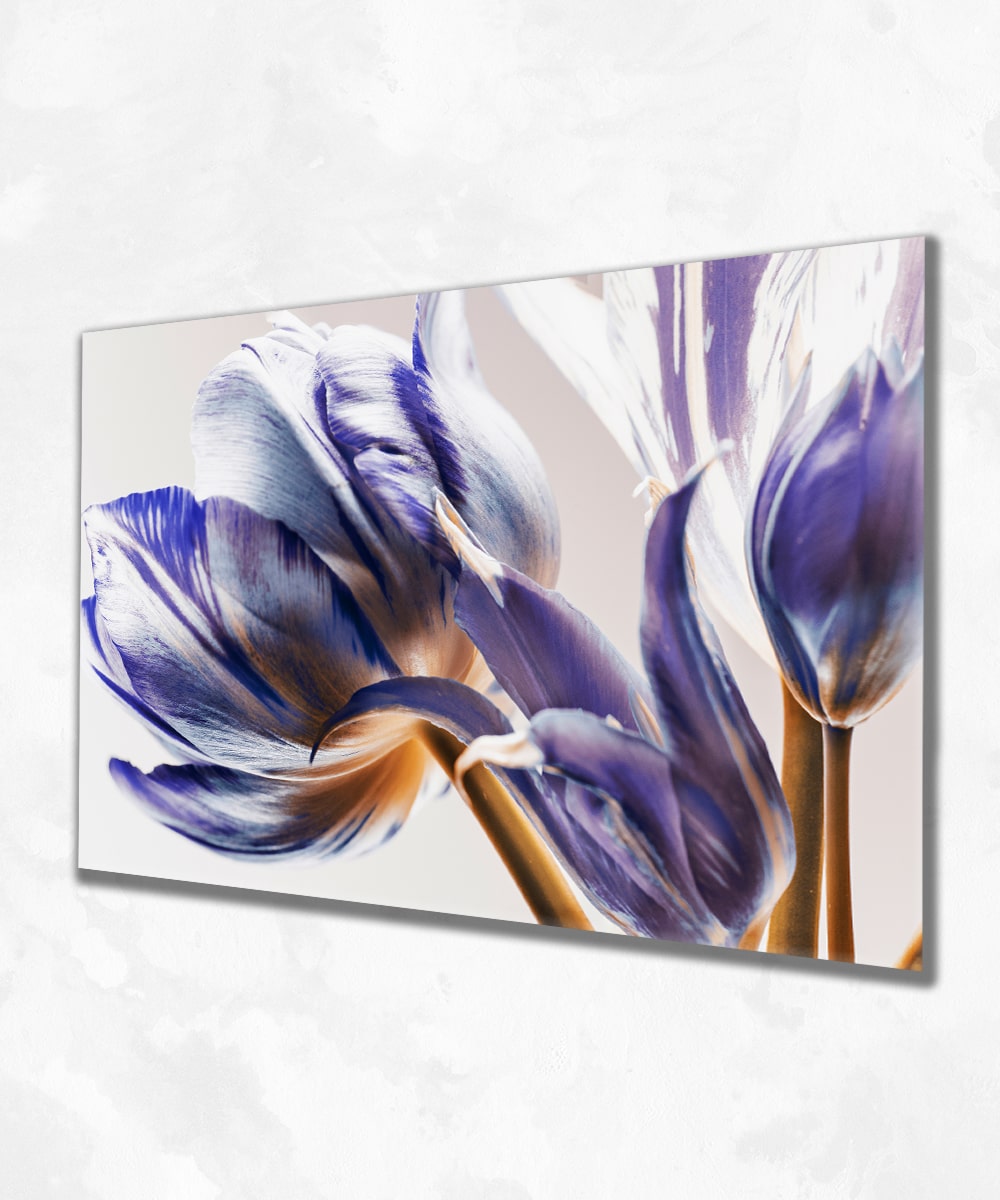 Violet Grace - Çerçevesiz Cam Tablo