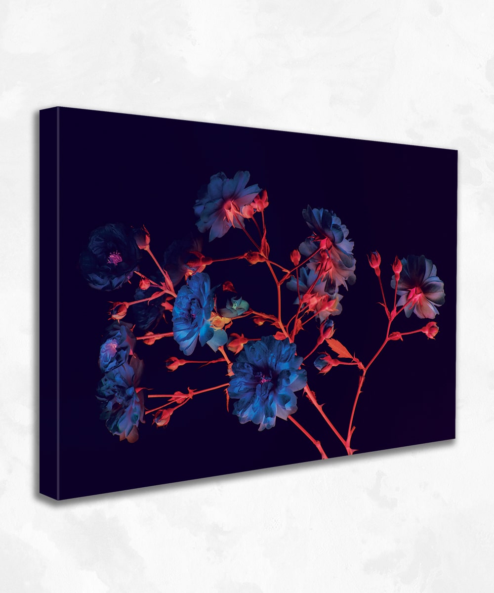 Neon Rose Noir Kanvas Tablo