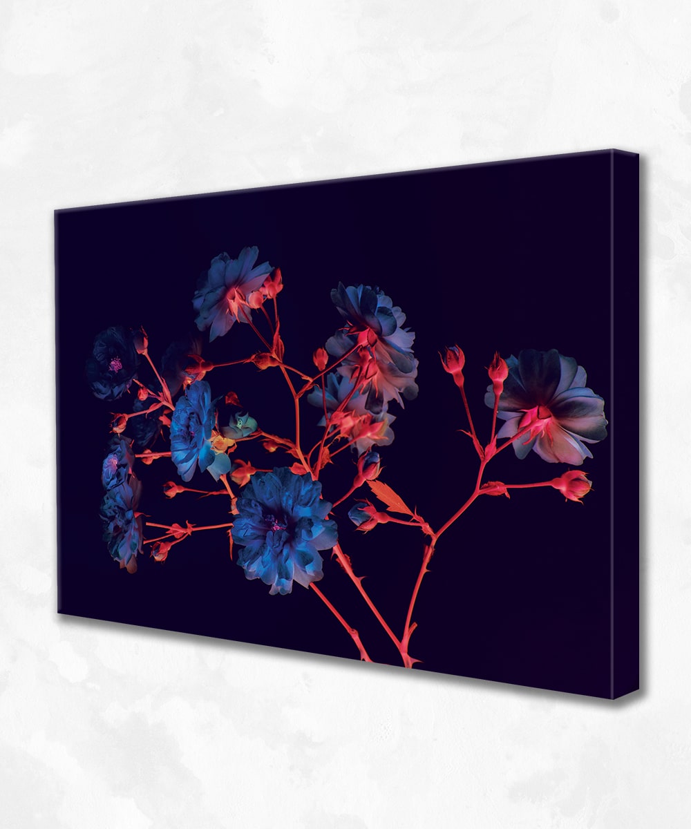 Neon Rose Noir Kanvas Tablo