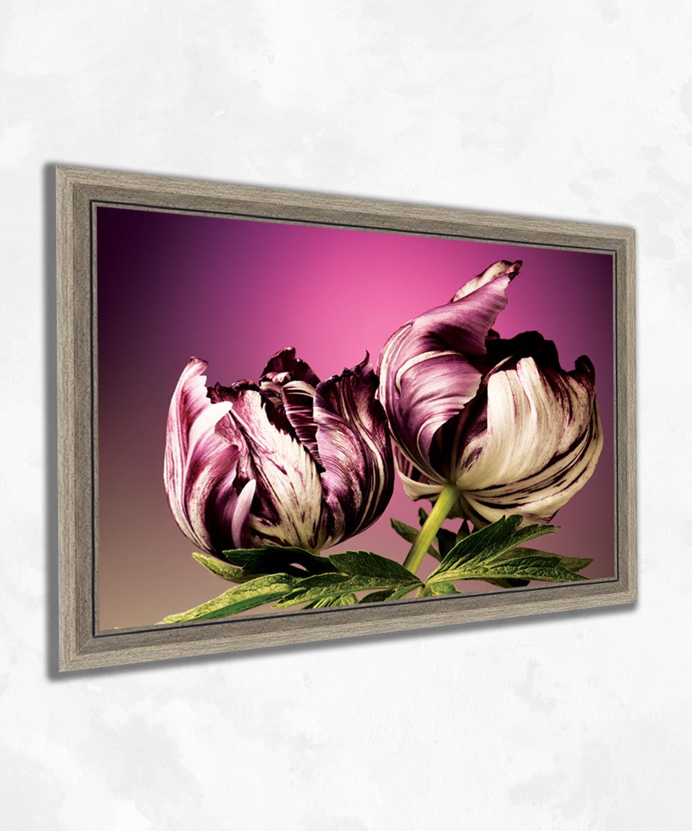 Anadolu Lalesi – Çerçeveli MDF Sanatsal Tablo