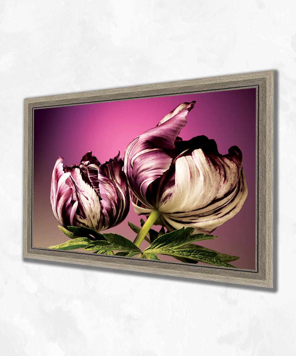 Anadolu Lalesi – Çerçeveli MDF Sanatsal Tablo